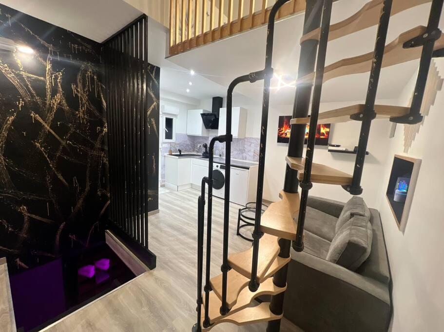 Maison Appartement Triplex Avec Jacuzzi Et Sauna Saint-Etienne (Loire) Exterior foto